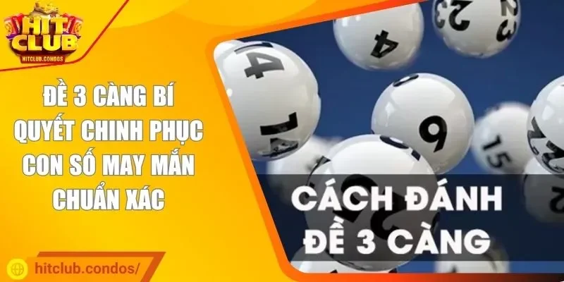 đề 3 càng