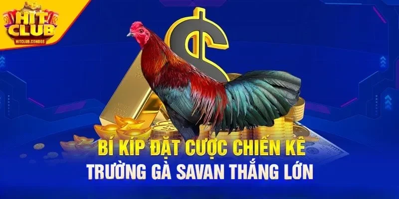 Tỷ lệ ăn thưởng hấp dẫn, minh bạch và công bằng 